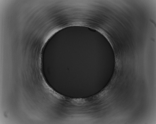 X0000103131147200809121726