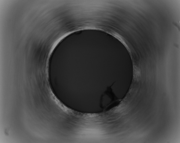 X0000103131148200809121726