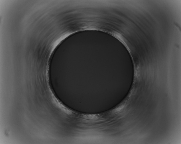 X0000103131149200809121726