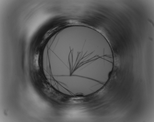 X0000103131150200809121726