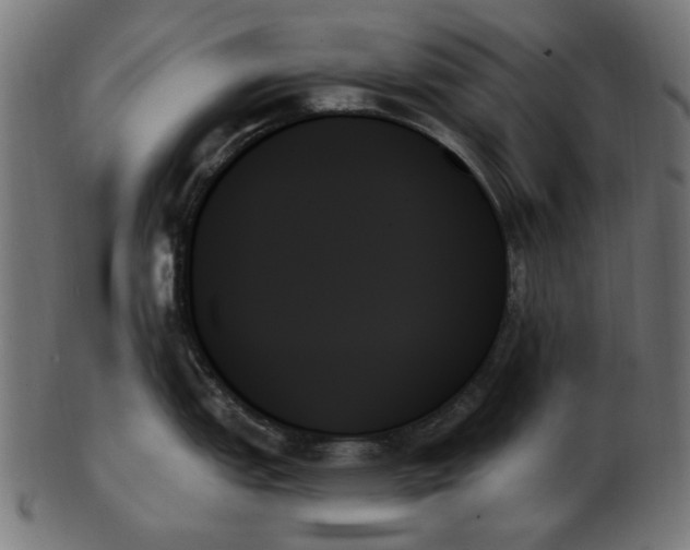 X0000103131151200809121726