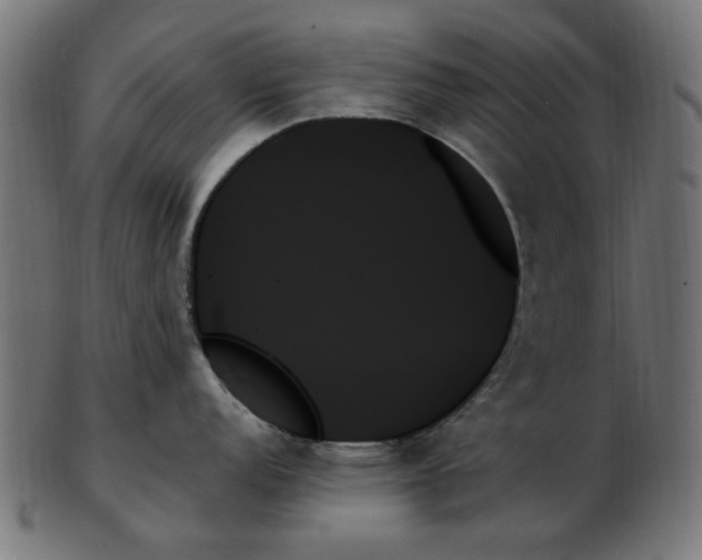 X0000103131152200809121726