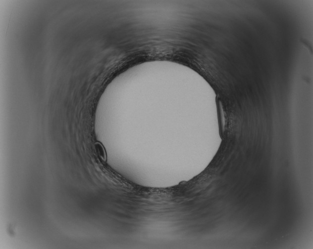 X0000103131153200809121725