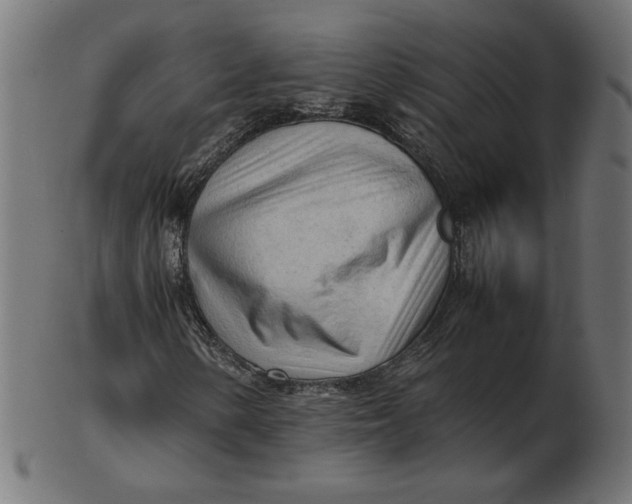 X0000103131154200809121725