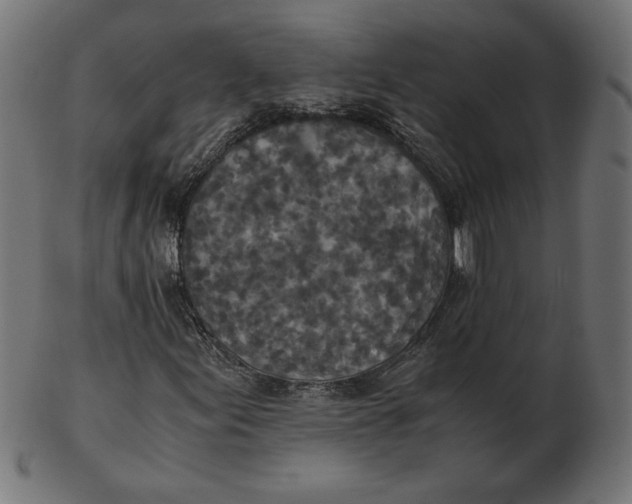 X0000103131155200809121725