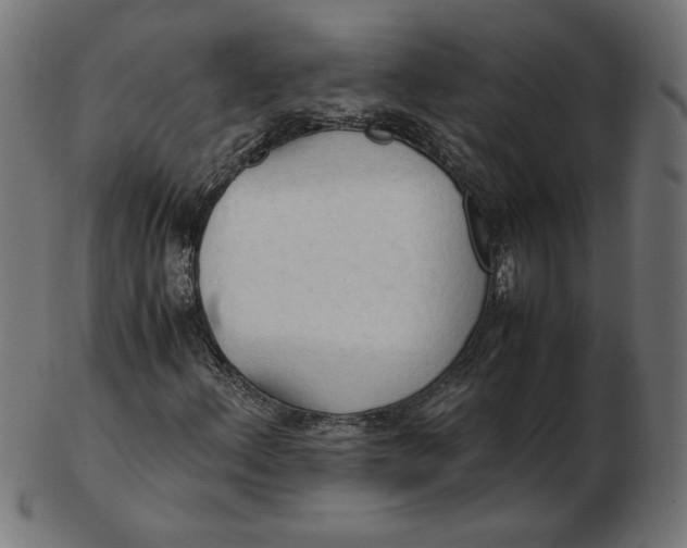 X0000103131156200809121725
