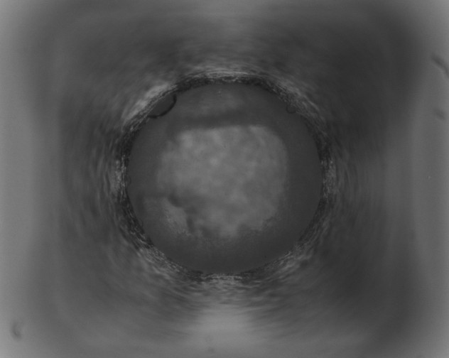 X0000103131157200809121725