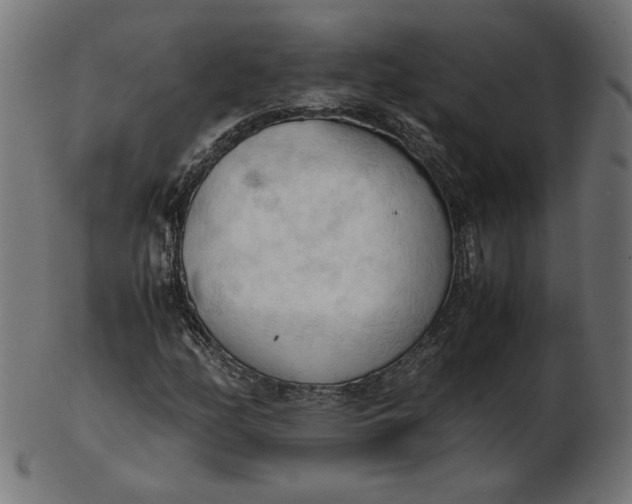X0000103131158200809121725