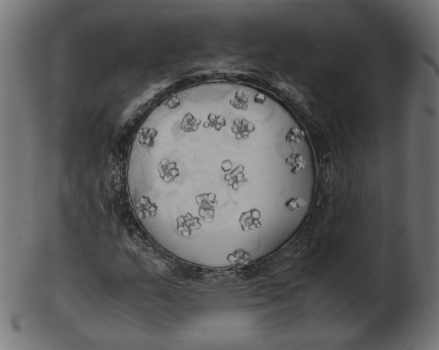 X0000103131159200809121725