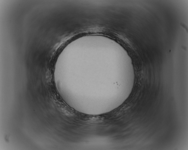 X0000103131160200809121725