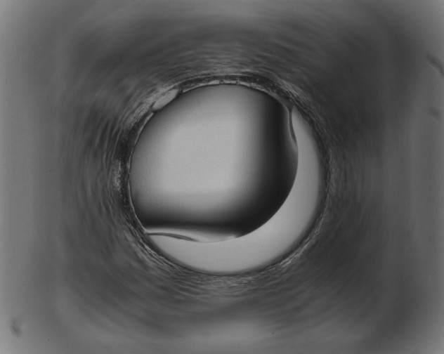 X0000103131161200809121725