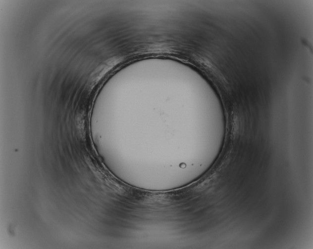 X0000103131162200809121725