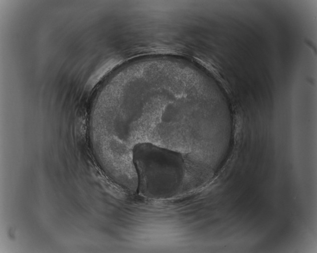 X0000103131163200809121725