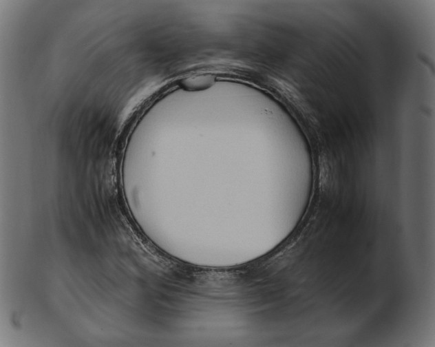 X0000103131164200809121725