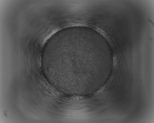 X0000103131165200809121725