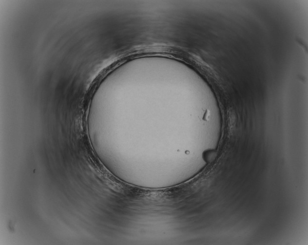 X0000103131166200809121725