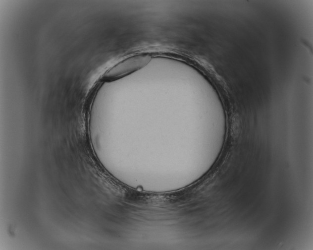 X0000103131167200809121725