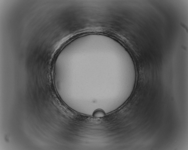 X0000103131168200809121725