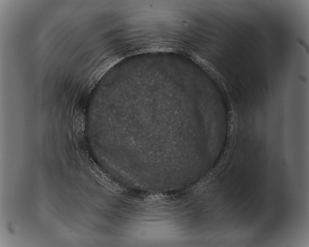 X0000103131169200809121725