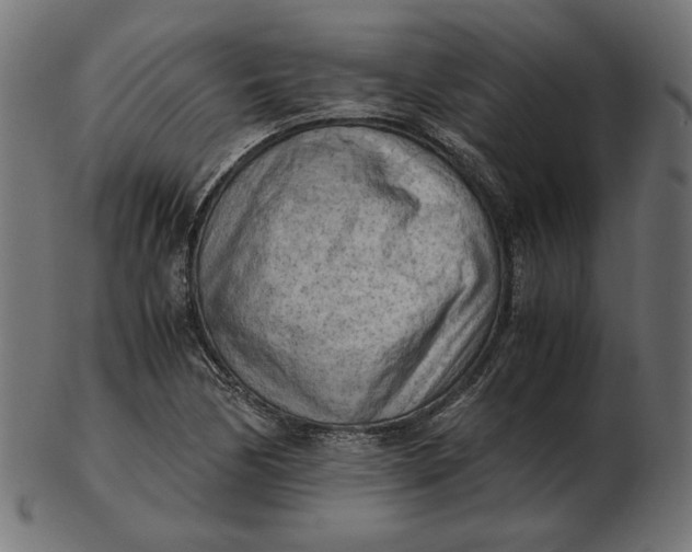 X0000103131170200809121725