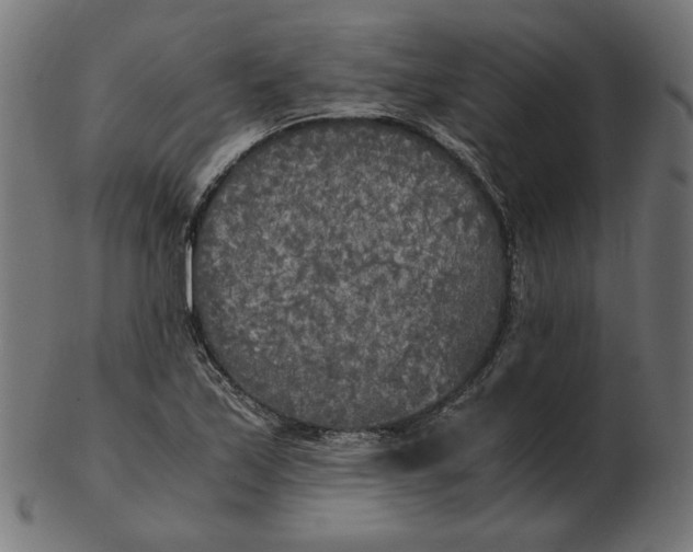 X0000103131171200809121725