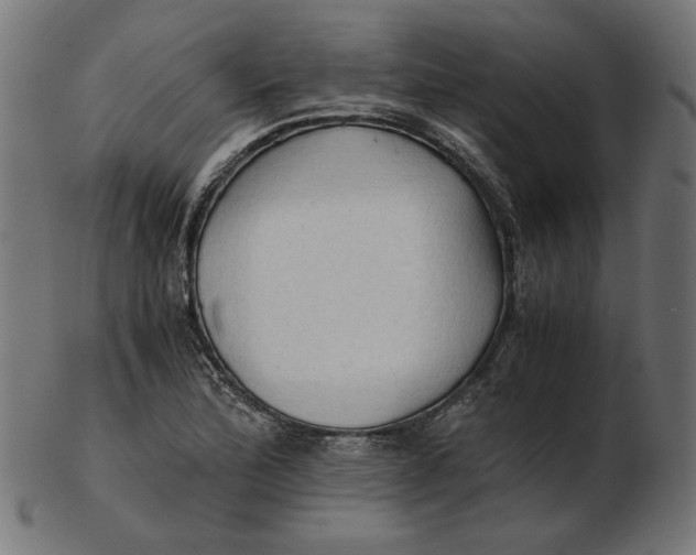 X0000103131172200809121725