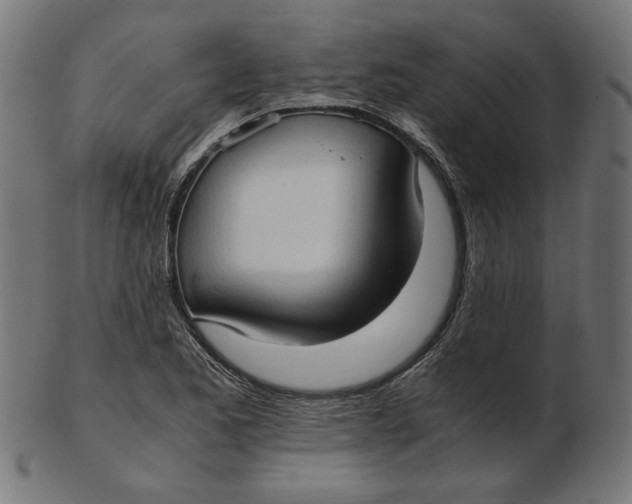 X0000103131173200809121725
