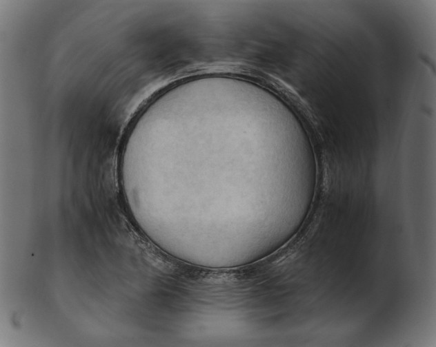 X0000103131174200809121725