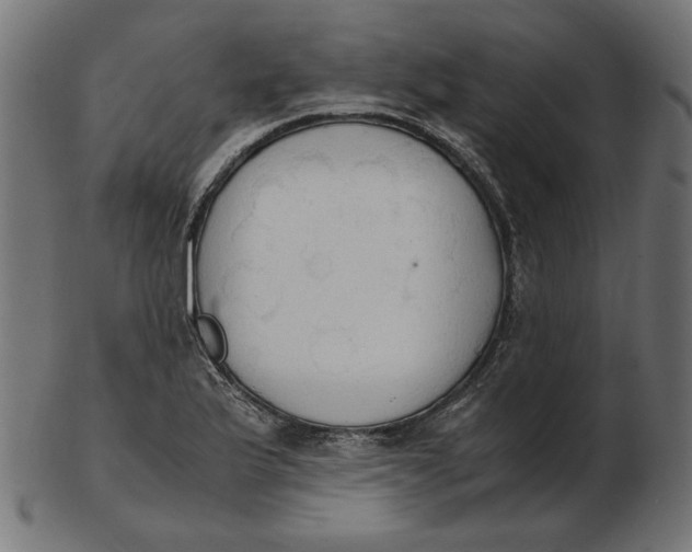 X0000103131175200809121725