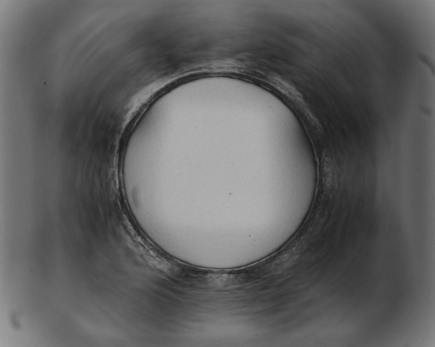 X0000103131176200809121725
