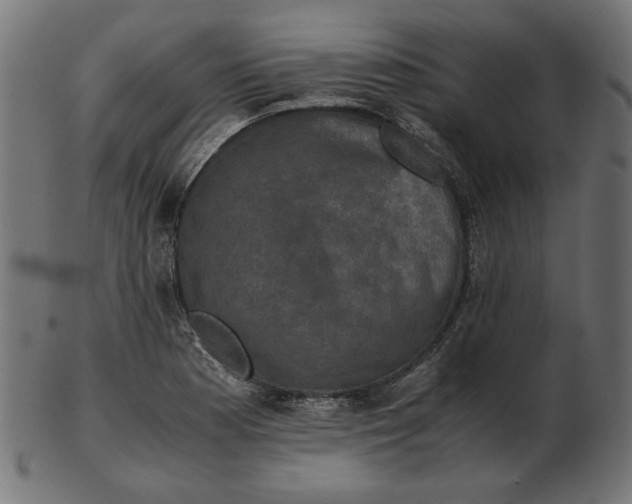X0000103131177200809121725