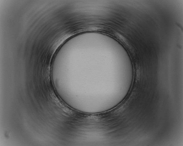 X0000103131178200809121725