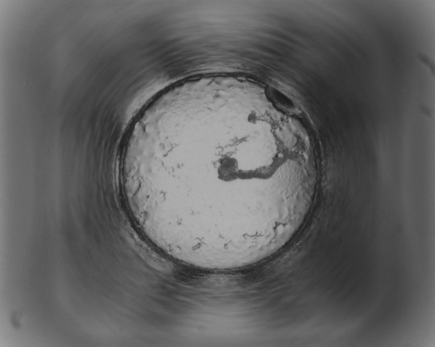 X0000103131179200809121725