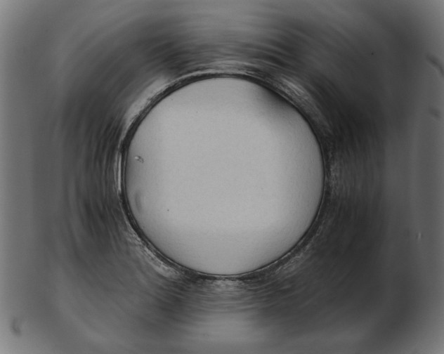 X0000103131180200809121725
