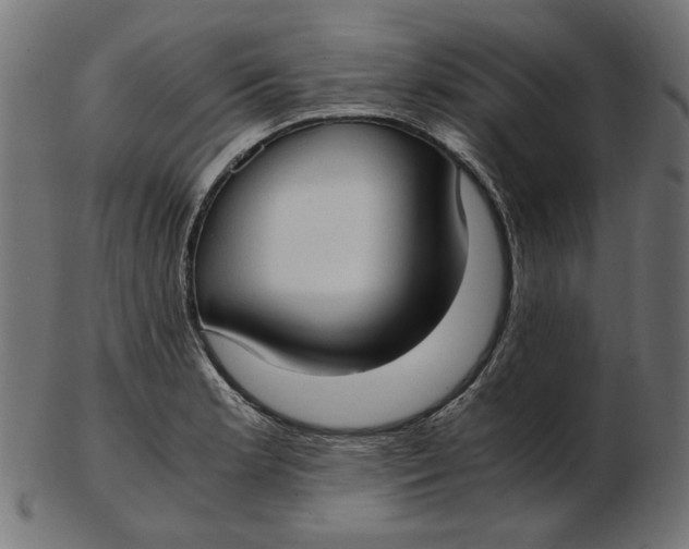 X0000103131181200809121725