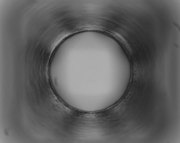 X0000103131182200809121725