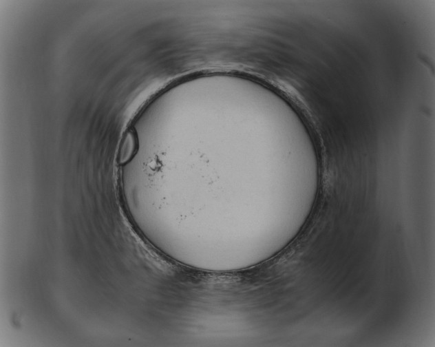 X0000103131183200809121725