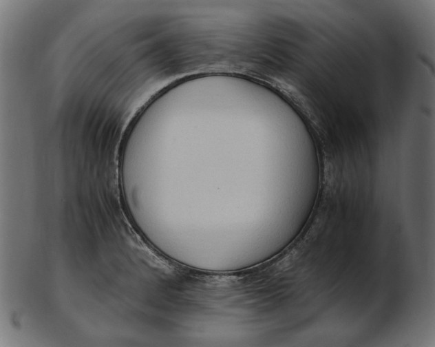 X0000103131184200809121725