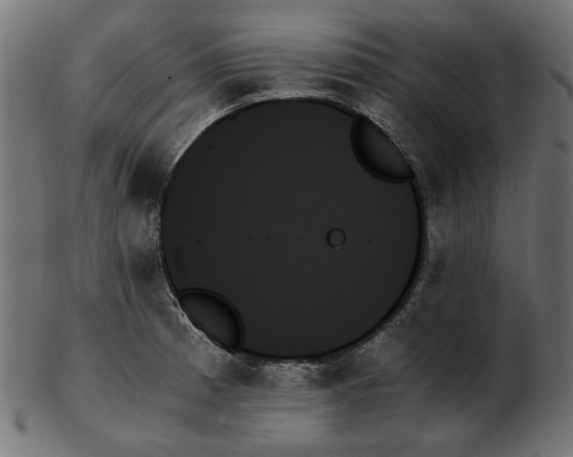 X0000103131185200809121725