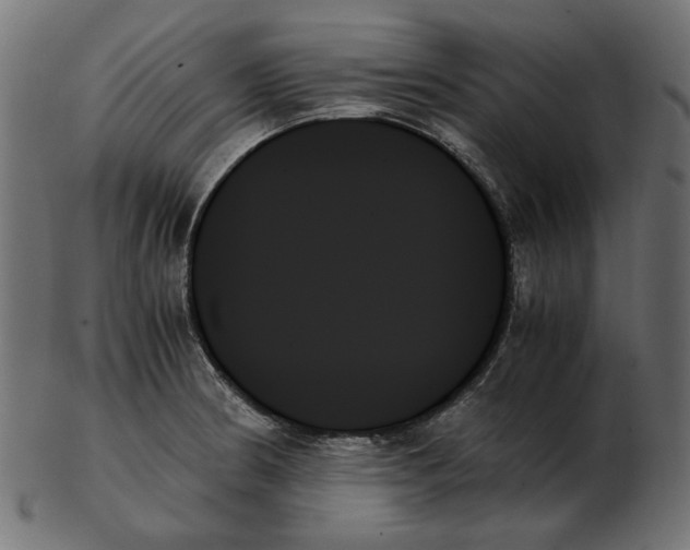 X0000103131186200809121725