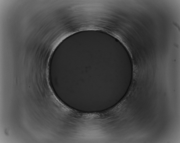 X0000103131187200809121725
