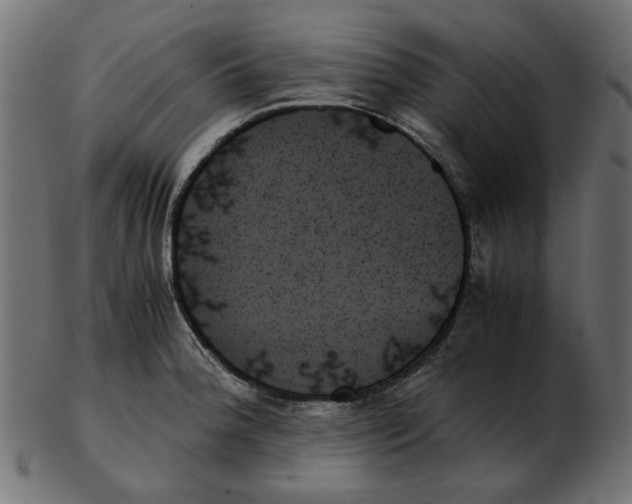 X0000103131188200809121725