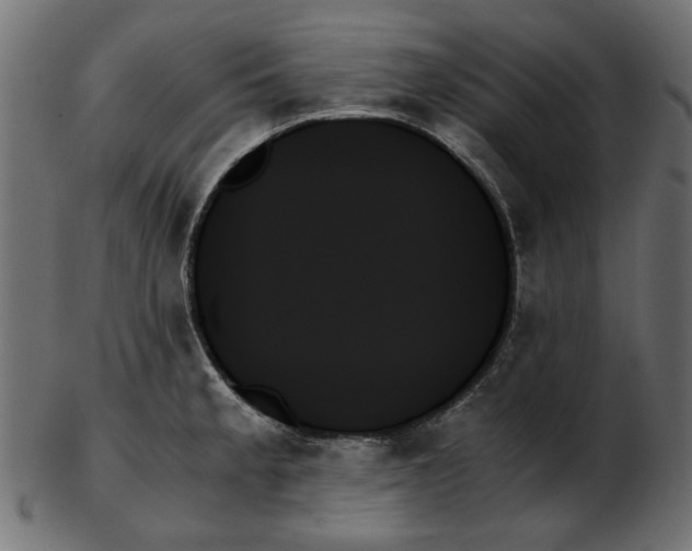 X0000103131189200809121725
