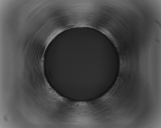 X0000103131190200809121725