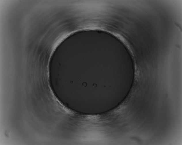 X0000103131191200809121725