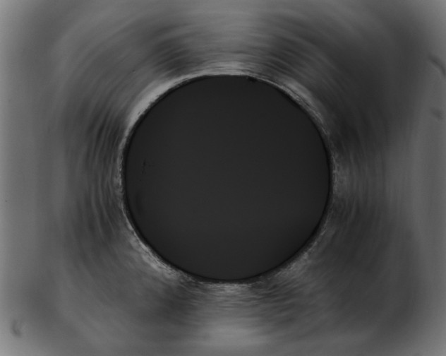 X0000103131192200809121725