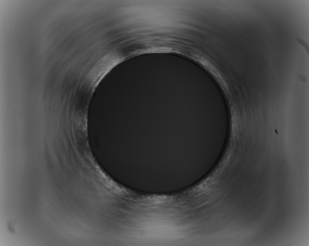 X0000103131193200809121725