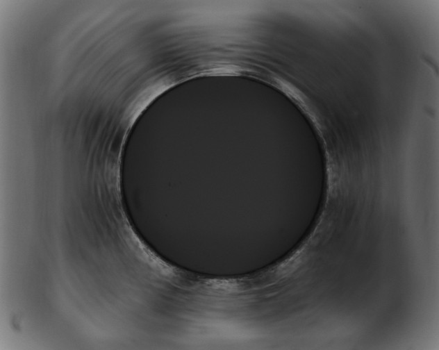 X0000103131194200809121725