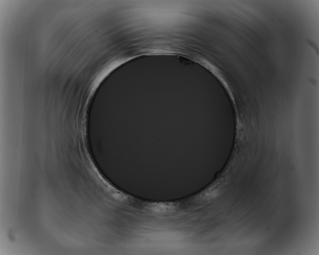 X0000103131195200809121725