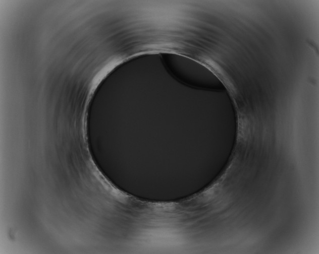 X0000103131196200809121725